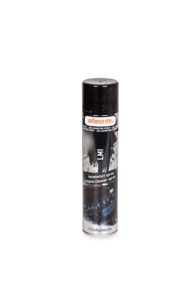 Lavamotori spray professionale LM1 per pulizia motori auto e veicoli, venduto da FM2 attrezzature autolavaggio